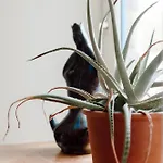 Maison De Charme Du 18e Siecle Proche Plages *